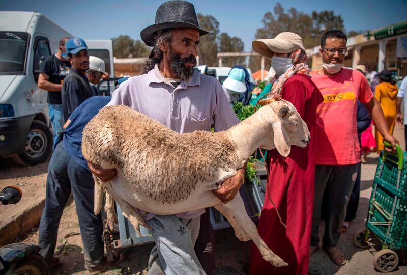 Moroccans buy sacrificial animals in the coastal city of Skhirat, south of Rabat.  AFP