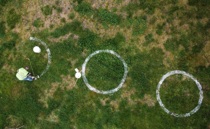 A municipality worker paints circles as guidelines for social distancing at Dalyan Park in Istanbul, Turkey. Reuters