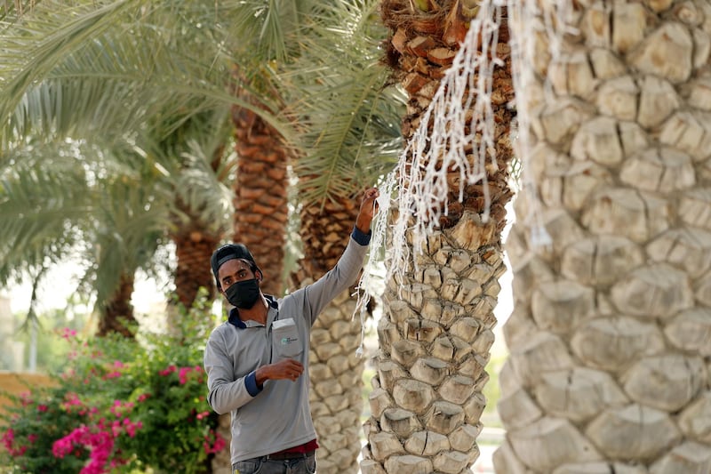 Dubai, United Arab Emirates - Reporter: N/A. News. A gentleman puts up Ramadan lights in Sustainable City, Dubai. Monday, April 12th, 2021. Dubai. Chris Whiteoak / The National