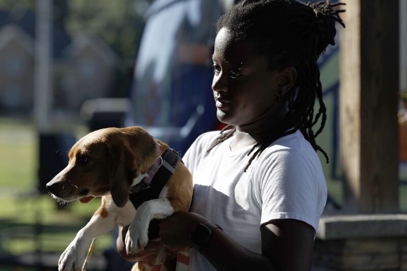 The purebred pooches will be available for adoption after getting proper vet care. Getty Images / AFP
