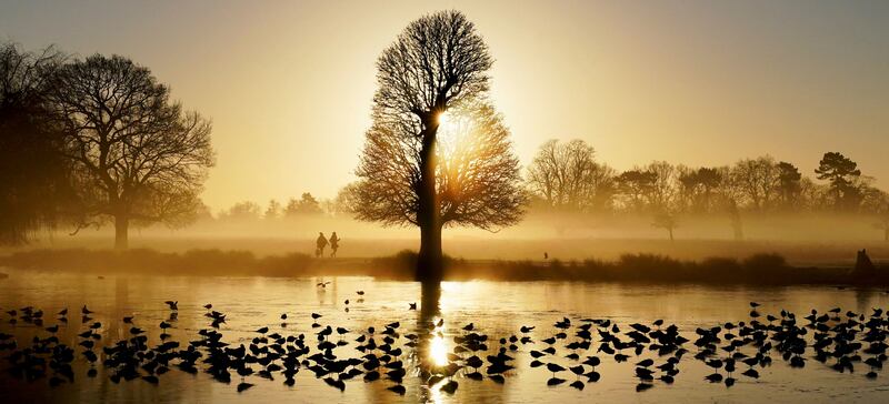 Birds stand on the frozen surface of a pond as the sun rises in Bushy Park, London, on Monday morning. AP Photo