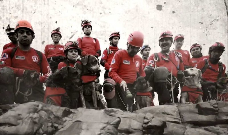 Los Topos, who built their reputation in operations around the world, use rescue dogs to detect people who may be trapped in collapsed buildings. Photo: Topos