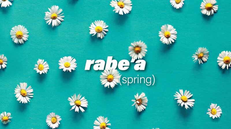 The Arabic word for spring, rabe'a, is also the name of two of the months from the Islamic calendar. The National
