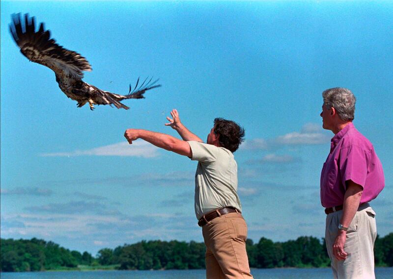 In this July 4, 1996 photo, President Bill Clinton, right, watches a young American Bald Eagle named Freedom being released into the wild. AP Photo