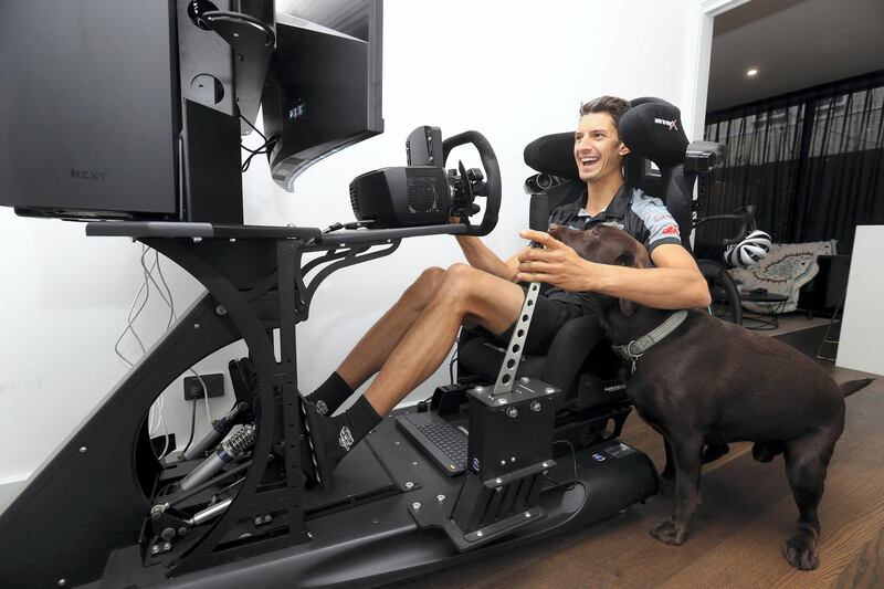 MELBOURNE, AUSTRALIA - APRIL 01: Nick Percat, Supercar driver for Brad Jones Racing, is seen on his racing simulator as his dog Nelson seeks attention, on April 01, 2020 in Melbourne, Australia. Supercars drivers have been forced to maintain fitness and preparations during lockdown restrictions in place due to the Coronavirus Pandemic. (Photo by Robert Cianflone/Getty Images)