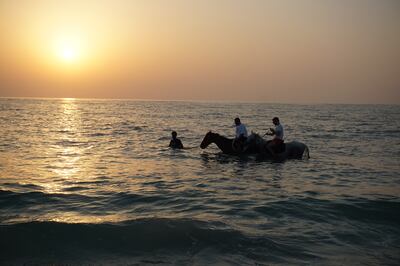 You can go swimming with horses at DXB Horseriding 