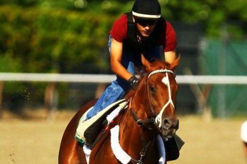 I’ll Have Another goes through track work at Belmont Park where Affirmed, next slide, with jockey Steve Cauthen aboard, was the last to win the third of the Triple Crown in 1978.