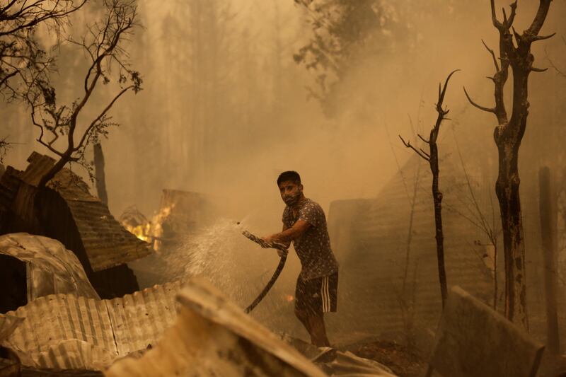 A resident tries to put out the fire during a wildfire in Santa Juana, near Concepcion, Chile.  All photos: Reuters / Juan Gonzalez
