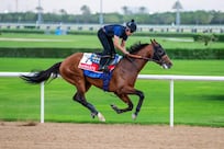 Dubai World Cup predictions: Newgate and Frankie Dettori seal top prize 