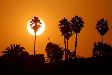 Heatwaves will become far more prevalent in the near future. Mike Blake / Reuters