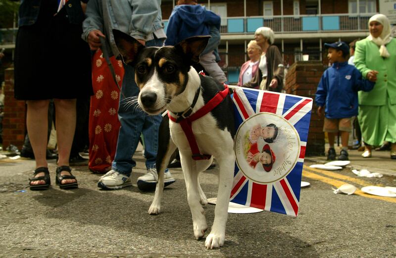 A dog sports a Union flag during the golden jubilee celebrations in Stepney in 2002.