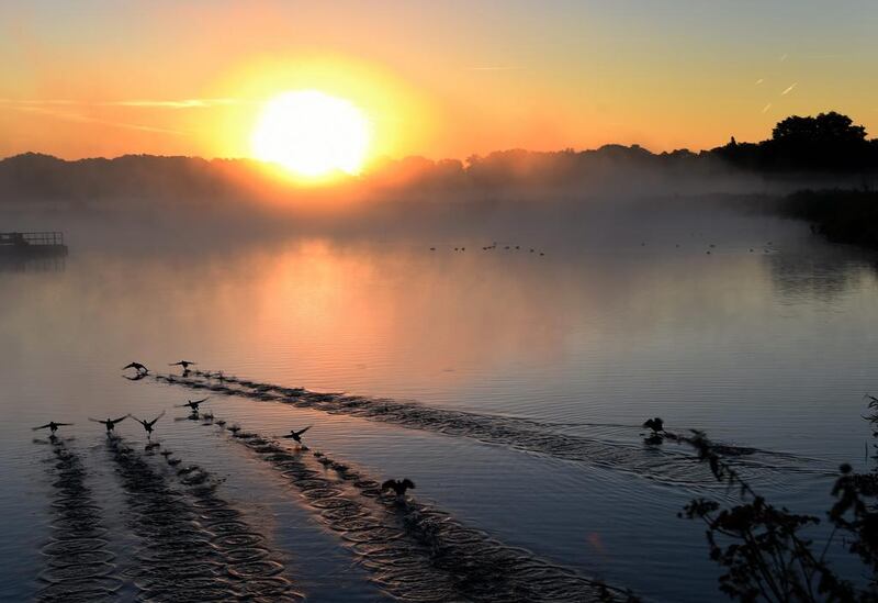 Waterfowls land in a quarry pond during sunrise in Isernhagen in the region of Hannover, northern Germany. Holger Hollemann / dpa via AP