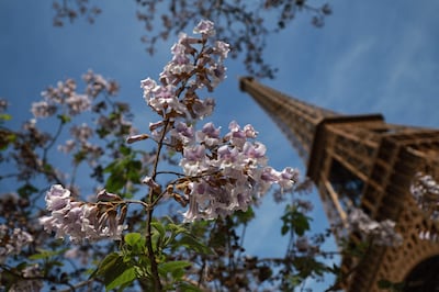 The Eiffel Tower is quintessential Paris. AFP