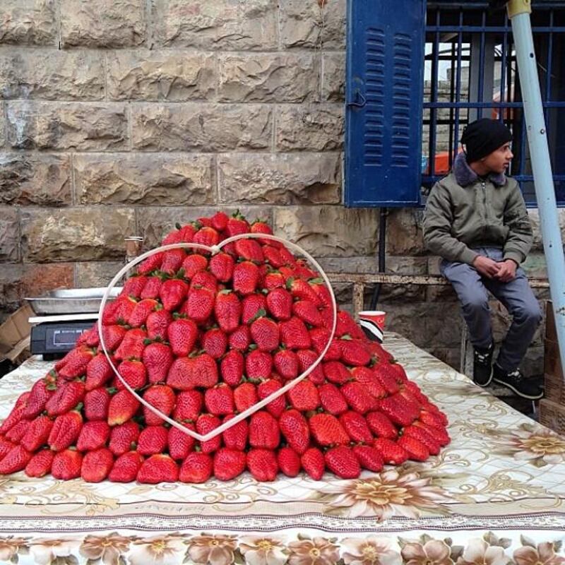 Zip tie heart strawberries, Ramallah, West Bank. Photo by Ed Ou, (@edouphoto), January 2013.