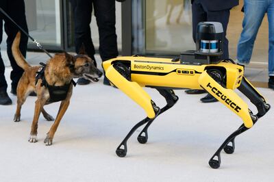 A robot dog from the RAID French police explosives unit is inspected by a real canine colleague. AFP