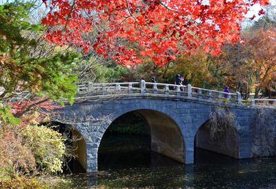 Bulguksa i slocated in Gyeongju, the capital of Korea’s Silla Kingdom for nearly 1,000 years up to the 10th century AD. Courtesy Ronan O'Connell