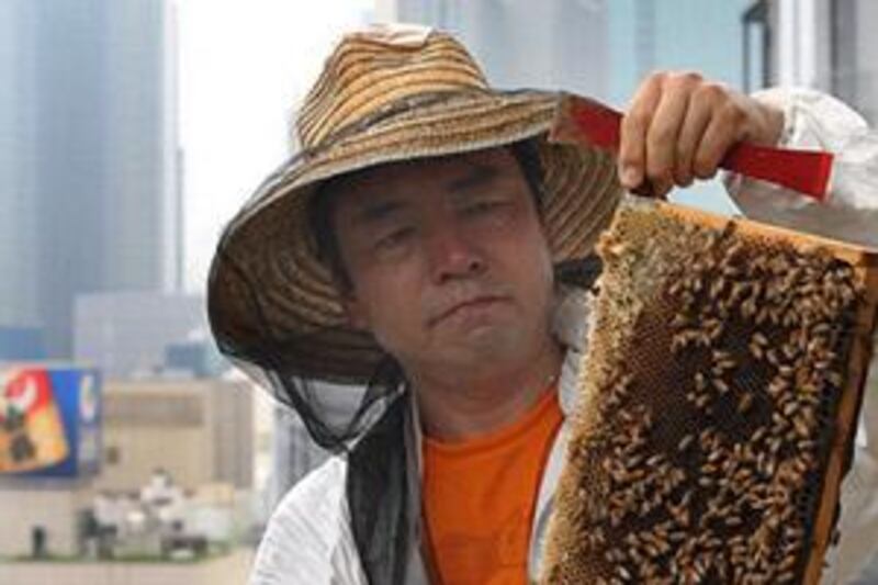 Atsuo Tanaka tends to 20 hives on the rooftop of his office building in the Ginza area of Tokyo.