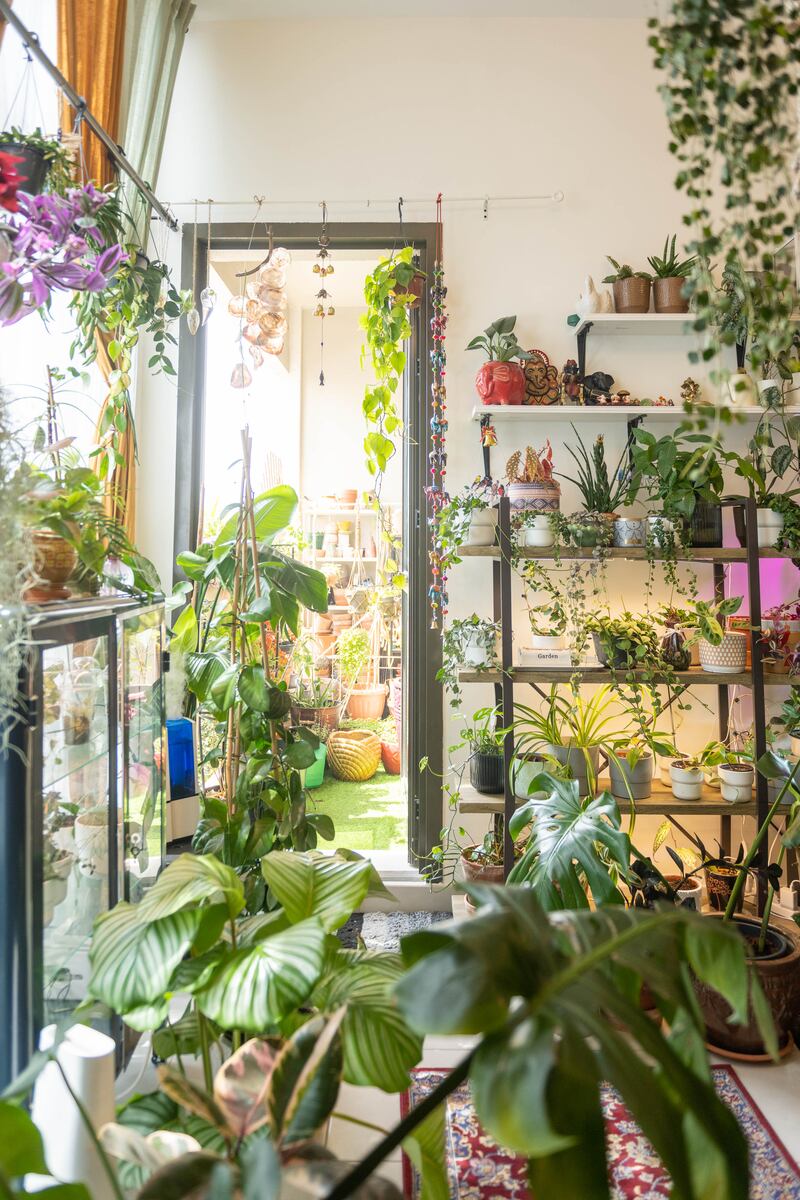 Jayesh turned to indoor gardening after two harsh summers that killed many of her outdoor plants 