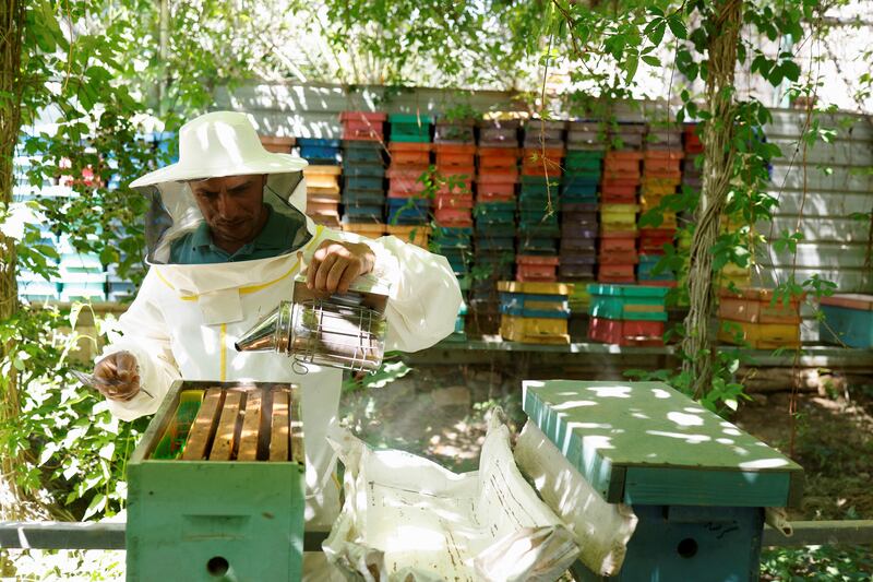 Rising temperatures, a decrease in rain and frequent dust storms have affected the honey industry 
