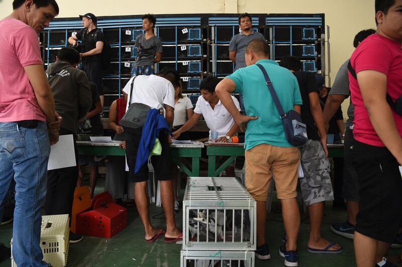 Pigeon fanciers register their birds at the office of the Philippine pigeon homing association's office.