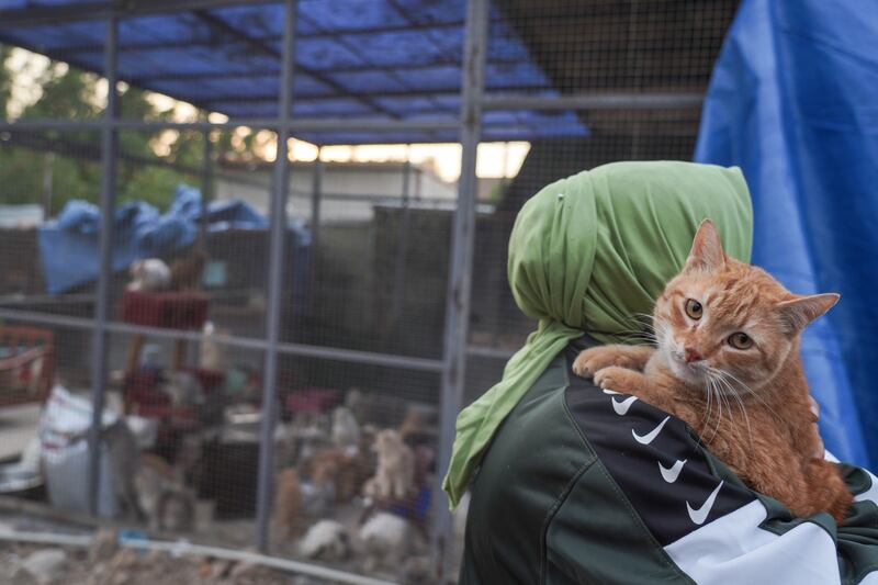 Some of the rescued animals are disabled or suffer from chronic health problems.