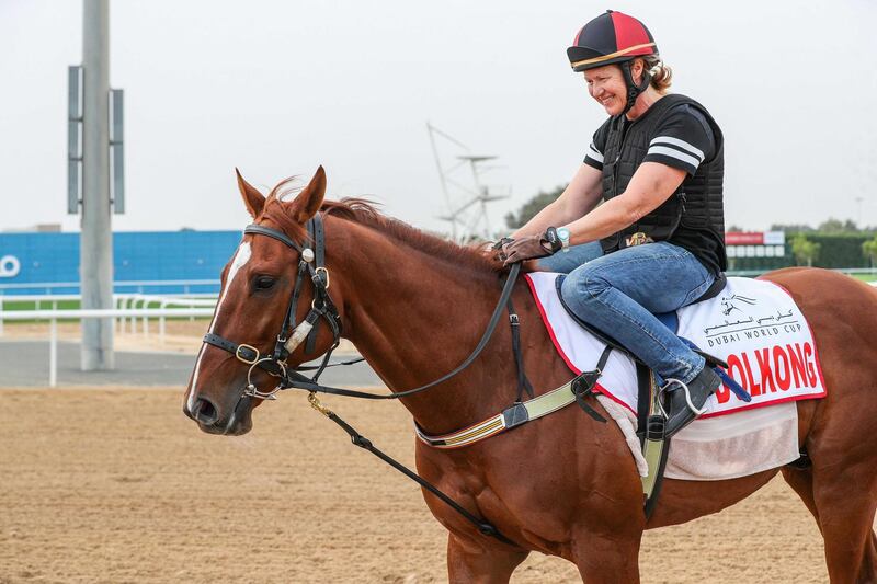 Mandatory Credit: Photo by Cedric Lane/REX/Shutterstock (10163665w)DOLKONG (USA) exercising at morning trackwork, Meydan, Dubai World Cup.Pre-Dubai World Cup Trackwork, Horse Racing, Meydan Racecourse, Dubai, United Arab Emirates - 27 Mar 2019