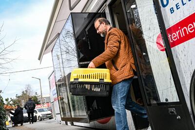 A man takes a stray cat inside a box from the Vetbus after a check up on January 31, 2019 at Rumelihisari district in northern Istanbul. In 2018, 73,608 animals were cared for by a hundred veterinarians and technicians, against only 2,470 in 2004. And no case of rabies has been detected in Istanbul since 2016, according to the municipality. / AFP / OZAN KOSE
