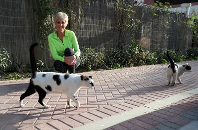 DUBAI, UNITED ARAB EMIRATES , Feb 5  – 2020 :- Carol Ann Geldenhuys with abandoned cats near her home in Dubai Investment Park in Dubai. ( Pawan  Singh / The National ) For News. Story by Gillian