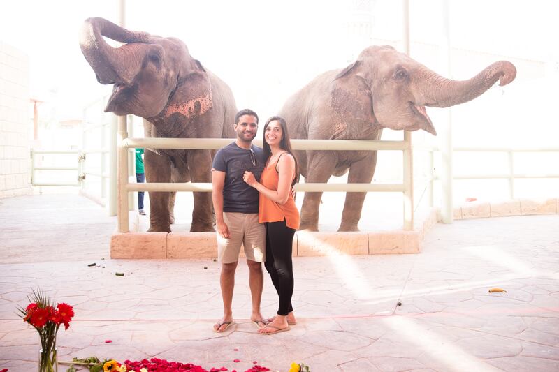 Asif and Minal got engaged at Al Ain Zoo. Photo: Proposal Boutique