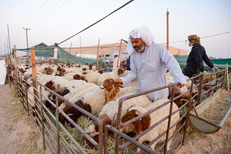 Sacrificial animals are displayed for sale at livestock market ahead of the holy festival of Eid Al Adha in Kuwait City, Kuwait. EPA