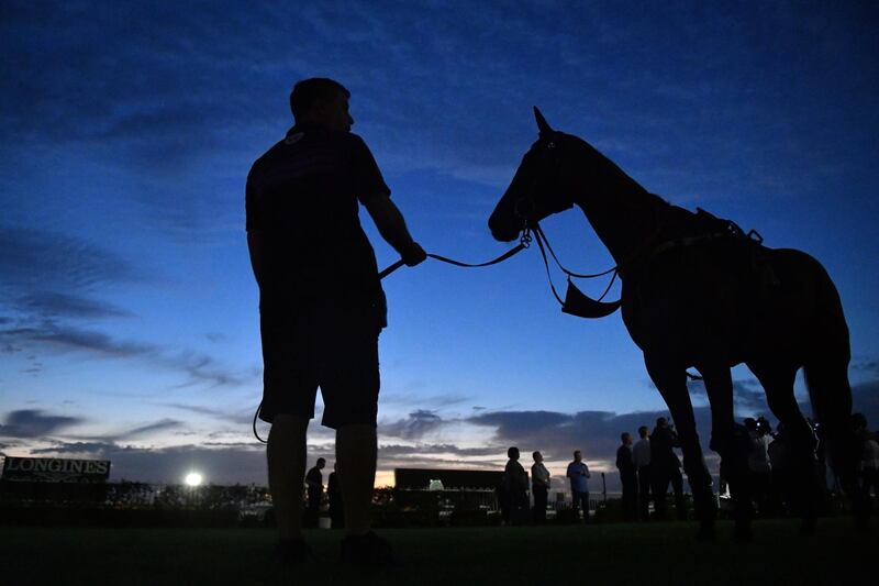 Champion racehorse Winx is seen during a trackwork session at Rosehill Gardens in Sydney, Australia. EPA