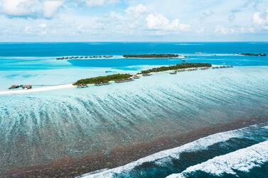 On World Oceans Day, we find five resorts where eco-minded travellers can get involved in ocean conservation. Courtesy Conrad Maldives Rangali Island