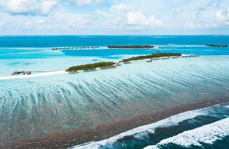 On World Oceans Day, we find five resorts where eco-minded travellers can get involved in ocean conservation. Courtesy Conrad Maldives Rangali Island
