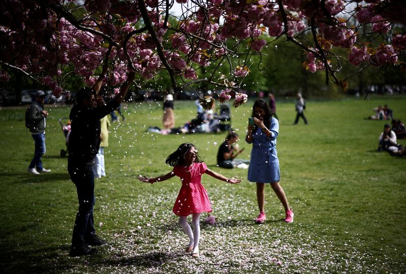 A child poses under petals falling from a cherry blossom tree in Greenwich Park in London, Britain, April 17, 2022.  REUTERS / Henry Nicholls     TPX IMAGES OF THE DAY