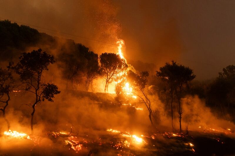 A forest ablaze in Dikela, near Alexandroupolis. AP