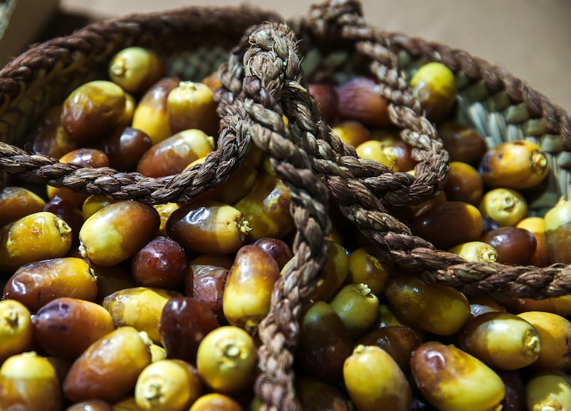 The event celebrates the UAE's tradition of growing dates