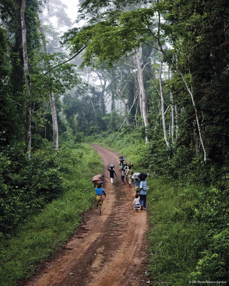 A family fleeing violence in the Ivory Coast walk along a forest track in south-east Liberia. Courtesy UN