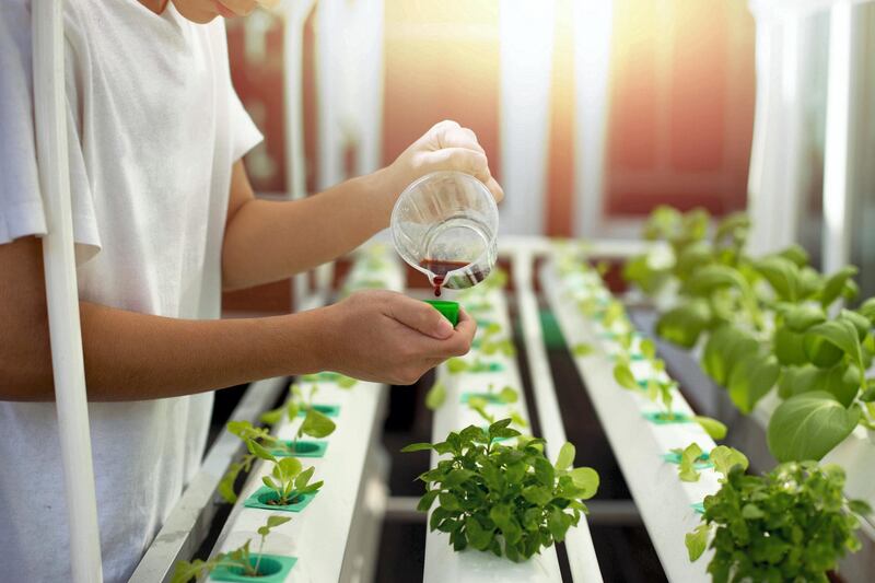 A competition was held in the UAE this week for entrepreneurs looking to revolutionise agricultural technology. Courtesy: FoodTech Challenge