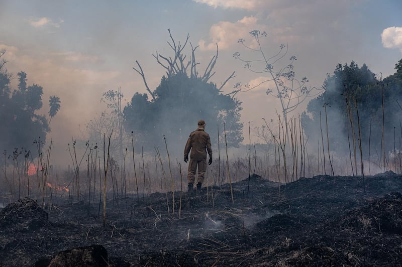 TOPSHOT - Handout picture released by the Communication Department of the State of Mato Grosso showing a firefighter combating a fire in the Amazon basin in the municipality Sorriso, Mato Grosso State, Brazil, on August 26, 2019. RESTRICTED TO EDITORIAL USE - MANDATORY CREDIT "AFP PHOTO / MATO GROSSO STATE COMMUNICATION DEPARTMENT / MAYKE TOSCANO" - NO MARKETING - NO ADVERTISING CAMPAIGNS - DISTRIBUTED AS A SERVICE TO CLIENTS
 / AFP / Mato Grosso State Communication Department / Mayke TOSCANO / RESTRICTED TO EDITORIAL USE - MANDATORY CREDIT "AFP PHOTO / MATO GROSSO STATE COMMUNICATION DEPARTMENT / MAYKE TOSCANO" - NO MARKETING - NO ADVERTISING CAMPAIGNS - DISTRIBUTED AS A SERVICE TO CLIENTS
