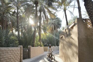 Al Ain is ranked in the world's top 100 Instagrammable Unesco sites.
