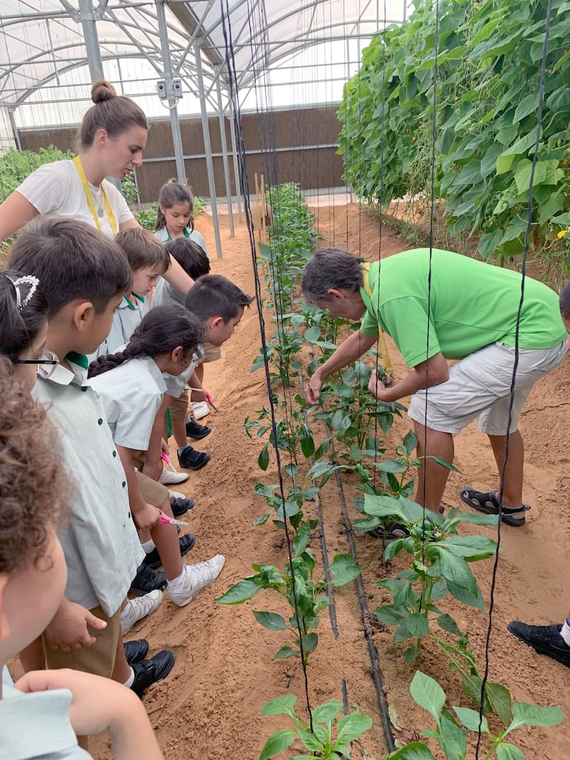 Food has been grown by pupils in a huge greenhouse on the school grounds. Courtesy: The Arbor School