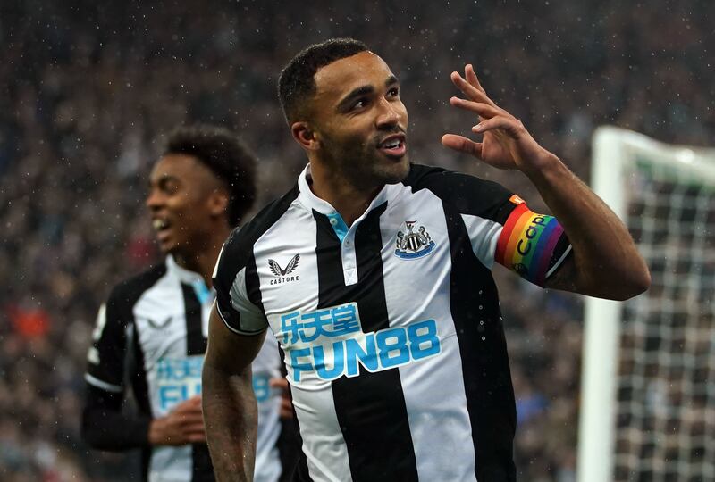 Callum Wilson: 7. Would be higher mark if not for the injury problems that have blighted his time on Tyneside. Pacy and powerful striker finished as the club's top scorer (with eight goals, bagging a double against Burnley on final day of season) despite missing half the season through injury. If Newcastle can keep him fit, would be nudging the 20-goal mark. PA