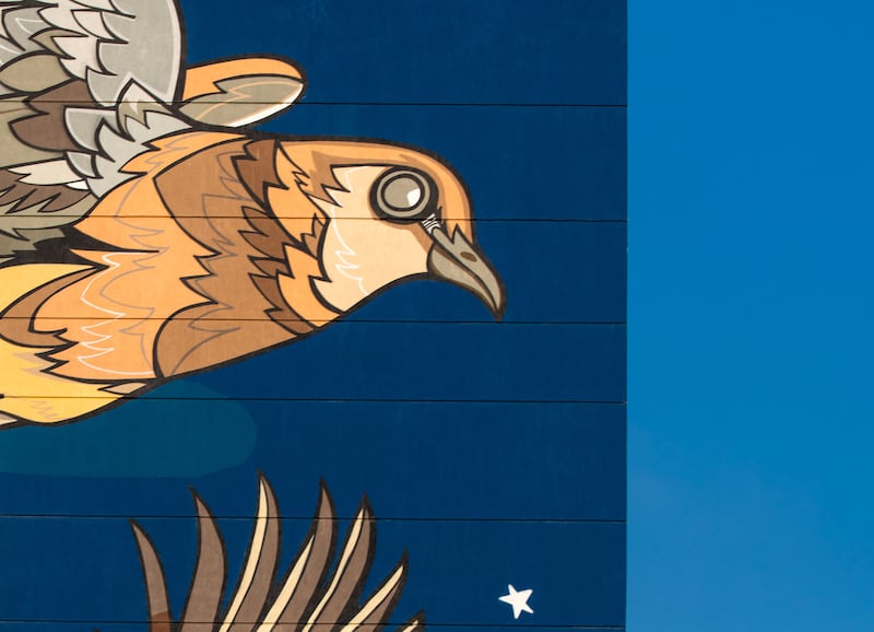The artist depicted at least 10 bird species in her mural, including the laughing dove.