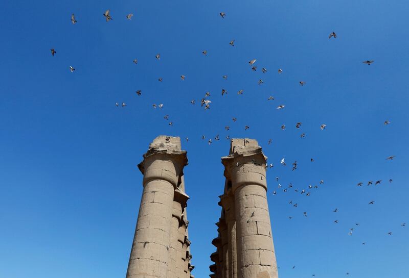 Pigeons fly over columns at the site of Luxor Temple in Luxor, Egypt. Reuters