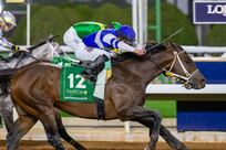 Junior Alvarado and Senor Buscador bid for historic double of Saudi and Dubai World Cup