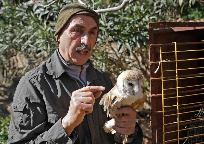 A wounded barn owl in the care of Mounir AbiSaiid at Lebanon's Animal Encounter environmental conservation centre. The centre rehabilitates many shot and injured birds. AFP
