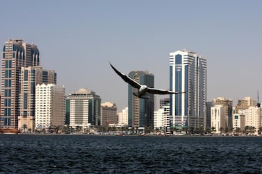 Sharjah is thriving culturally. Pawan Singh / The National