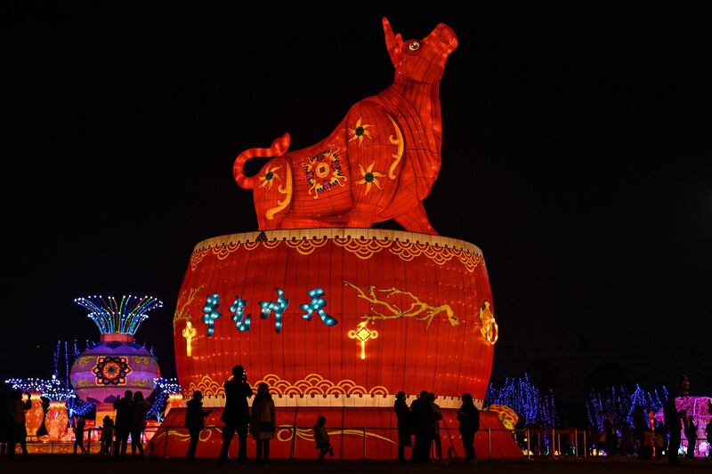 People look at a giant ox lantern in a park in Wuhan in China's central Hubei province, as the Lunar New Year ushers in the Year of the Ox. AFP