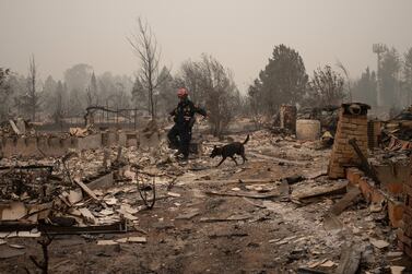 A member of a search and rescue team from Salt Lake City, including a canine named Kya, look for victims through gutted homes in the aftermath of the Almeda fire in Talent, Oregon, US, September 13, 2020. REUTERS