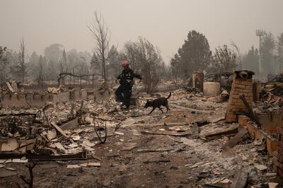 A member of a search and rescue team from Salt Lake City, including a canine named Kya, look for victims through gutted homes in the aftermath of the Almeda fire in Talent, Oregon, U.S., September 13, 2020. REUTERS/Adrees Latif